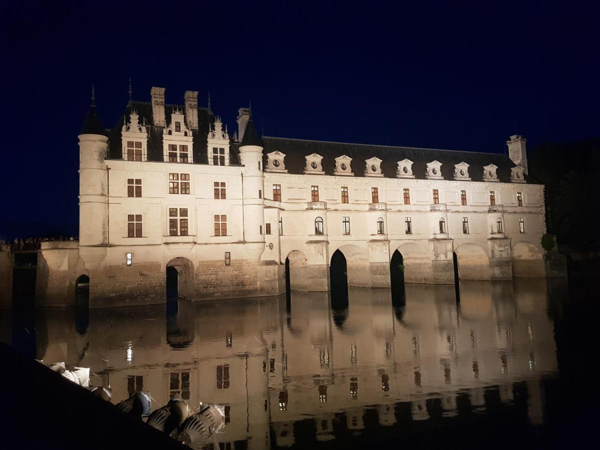 18 Chateaux Et Beauval Sur Un Rayon De 30 Km Saint-Georges-sur-Cher Eksteriør bilde