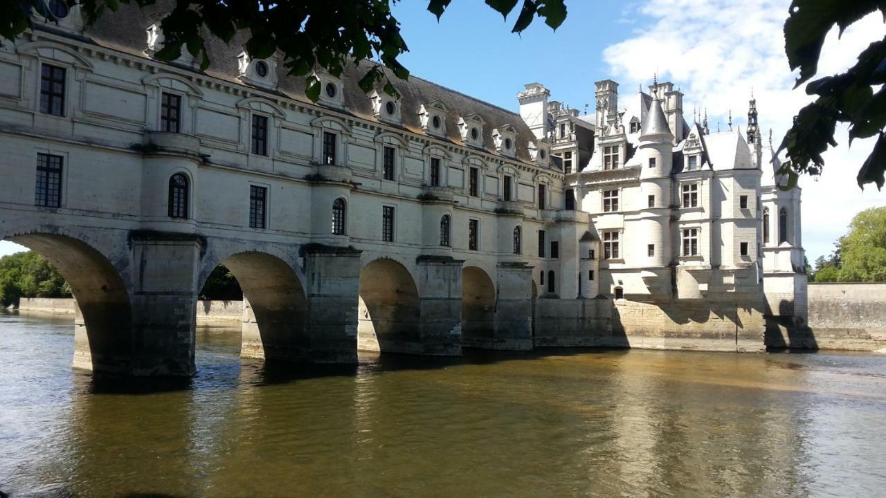 18 Chateaux Et Beauval Sur Un Rayon De 30 Km Saint-Georges-sur-Cher Eksteriør bilde