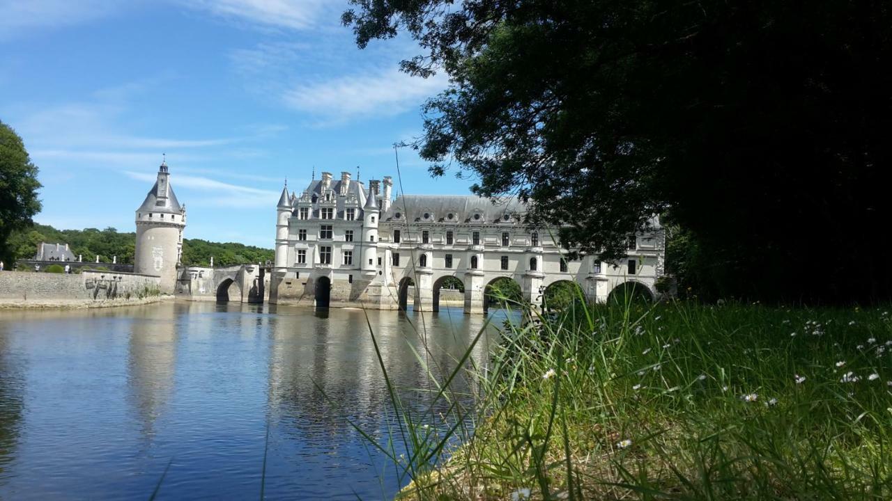 18 Chateaux Et Beauval Sur Un Rayon De 30 Km Saint-Georges-sur-Cher Eksteriør bilde